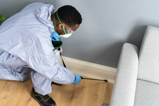 Trusted Placentia, CA Pest Control Experts